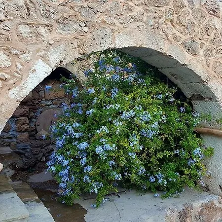 Tania Village Zakros Maisonette Extérieur photo