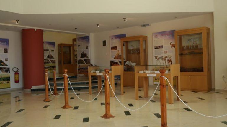 Tania Village Maisonette *